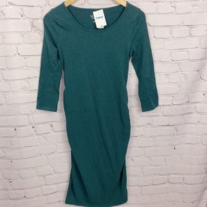NWT Isabel Maternity Dress